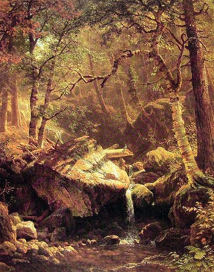 Albert Bierstadt The Mountain Brook France oil painting art